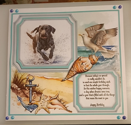 Dog running in water card front 3 by Shirley Taylor