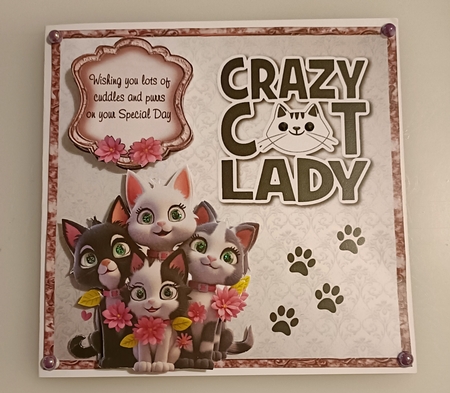 Crazy Cat Lady Bumper Kit 38 -9 sheets, Card fronts, decoupage, inserts, and greeting boxes  by Shirley Taylor