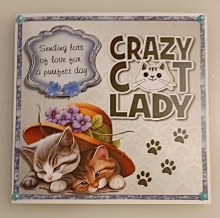 Crazy Cat Lady Bumper Kit 38 -9 sheets, Card fronts, decoupage, inserts, and greeting boxes  by Shirley Taylor