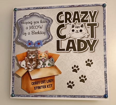 Crazy Cat Lady Bumper Kit 38 -9 sheets, Card fronts, decoupage, inserts, and greeting boxes  by Shirley Taylor