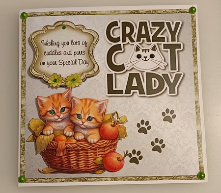 Crazy Cat Lady Bumper Kit 38 -9 sheets, Card fronts, decoupage, inserts, and greeting boxes  by Shirley Taylor