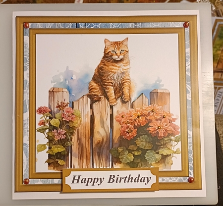 Cat on fence card front 9 by Shirley Taylor