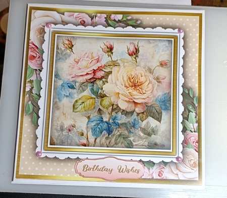 8x8 Mini Kit, Gorgeous Shabby Chic Roses by Shirley Taylor
