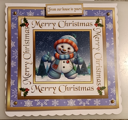 SC Funny snowman by Shirley Taylor