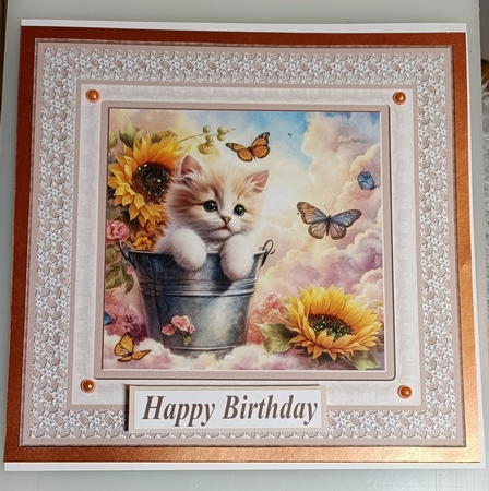 Sunflower kitten card front 13 by Shirley Taylor