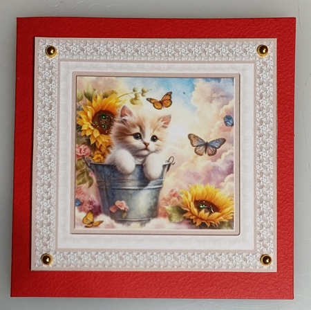 Sunflower kitten card front 13 by Shirley Taylor