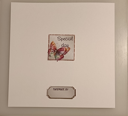 Matching insert sheet for the design sheet - Special Friend 1 by Shirley Taylor