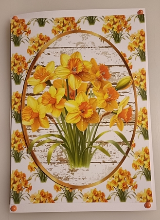 Pretty A5 Yellow Daffodils In Oval Frame & Topper  by Shirley Taylor