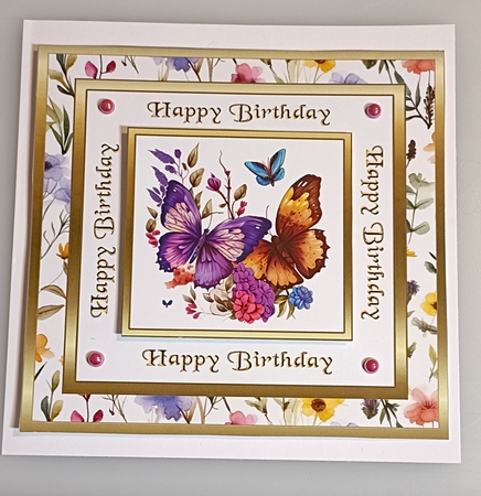 SC purple & orange butterflies by Shirley Taylor