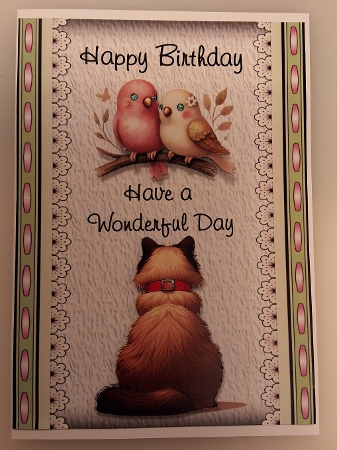 Birthday Birdies -  Bumper Kit 71 - 9 page bumper kit by Shirley Taylor