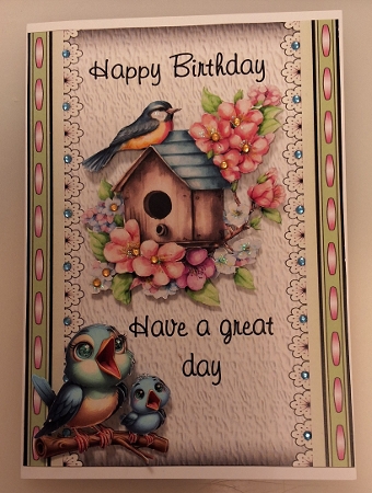 Birthday Birdies -  Bumper Kit 71 - 9 page bumper kit by Shirley Taylor