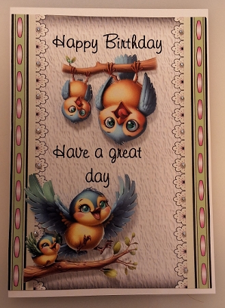 Birthday Birdies -  Bumper Kit 71 - 9 page bumper kit by Shirley Taylor