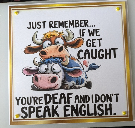cup1382522_415 - Funny Animal 8X8 Topper With Humour Caption (TWO)