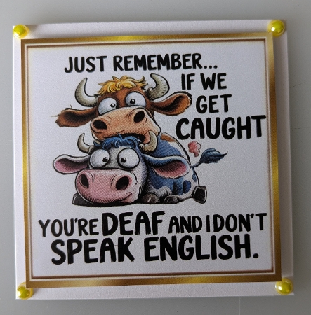 Funny Animal 8X8 Topper With Humour Caption (TWO) by Shirley Taylor