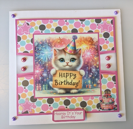 Birthday Animals 4 Card Front 6x6 by Shirley Taylor