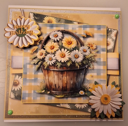 Daisy Daisy by Shirley Taylor