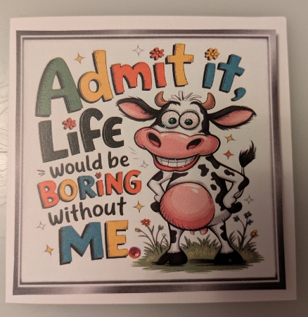 Funny 8X8 Topper With Humour Caption (SILVER TWO) by Shirley Taylor