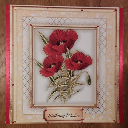 Beautiful Red Poppies in a gold frame  by Shirley Taylor