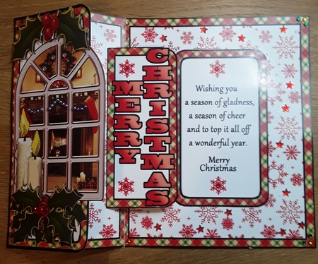 FBP Christmas Window by Shirley Taylor