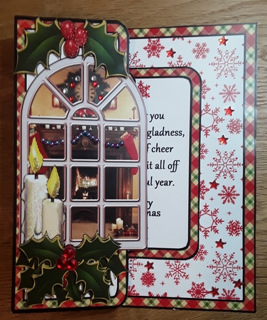 FBP Christmas Window by Shirley Taylor