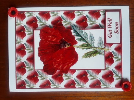 Remembering by Shirley Taylor