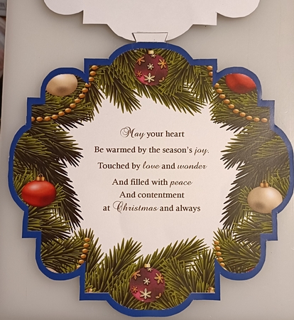 Through the Christmas Tree D by Shirley Taylor