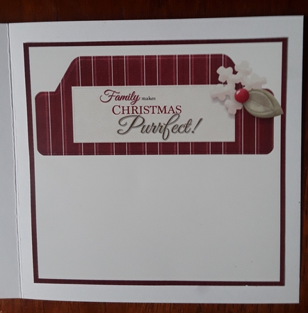 Kitty Kat Christmas by Shirley Taylor