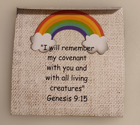 NOAH AND THE ARK COOKIE POCKET CHRISTIAN by Shirley Taylor