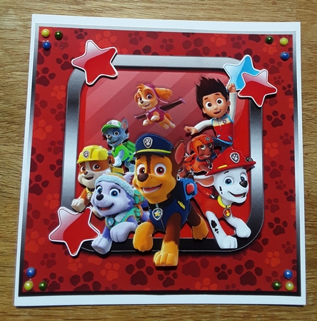 Paw Patrol Is On A Roll 1 by Shirley Taylor
