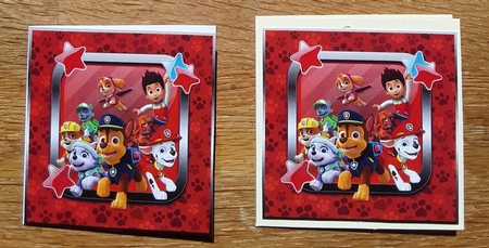 Paw Patrol Is On A Roll 1 by Shirley Taylor
