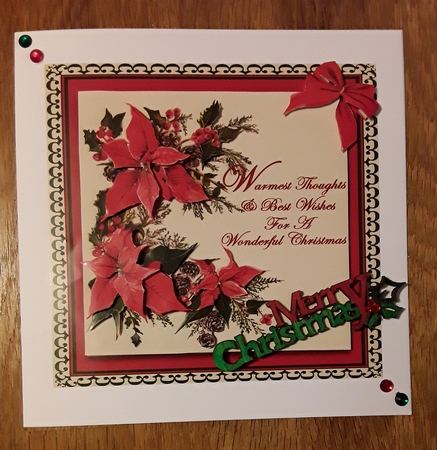 Poinsettias by Shirley Taylor