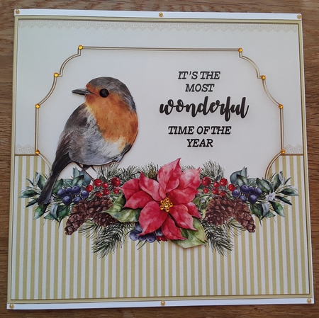 Robin & Lace QuicknEasy Card Front by Shirley Taylor