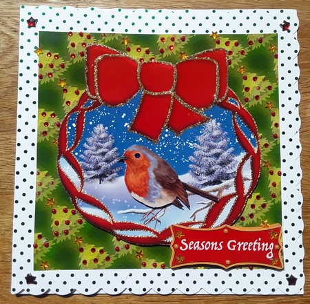Red Robin in Winter by Shirley Taylor