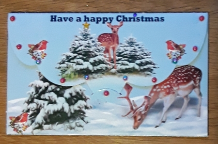 Christmas Money wallet by Shirley Taylor