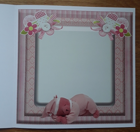 Insert For Baby Girl Is A Blessing by Shirley Taylor