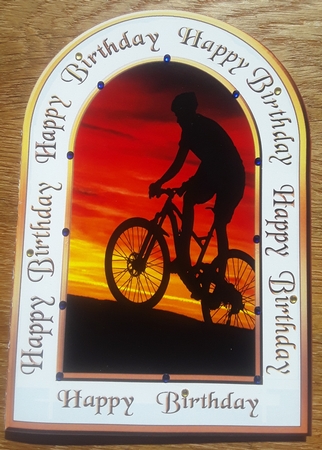 ASC Mountain bikes by Shirley Taylor