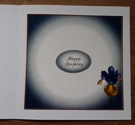 Art Nouveau Blue Iris by Shirley Taylor