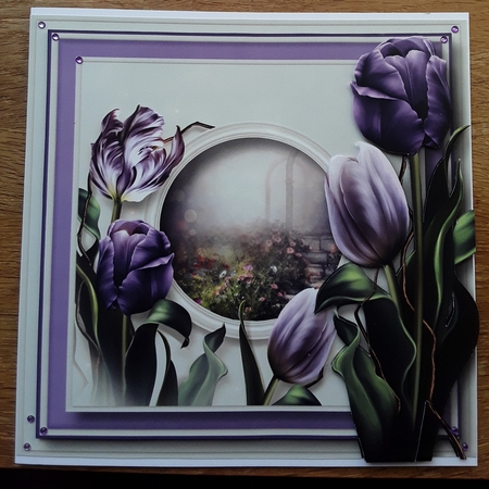 Gorgeous Purple Tulips by Shirley Taylor