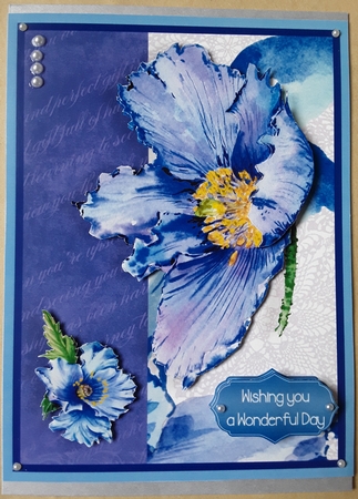 Blue Poppy Card Topper by Shirley Taylor