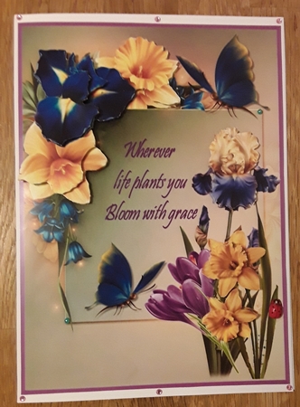 Bloom with grace by Shirley Taylor