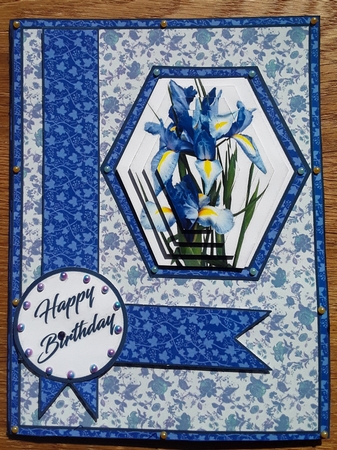 Hex Blue Irises by Shirley Taylor