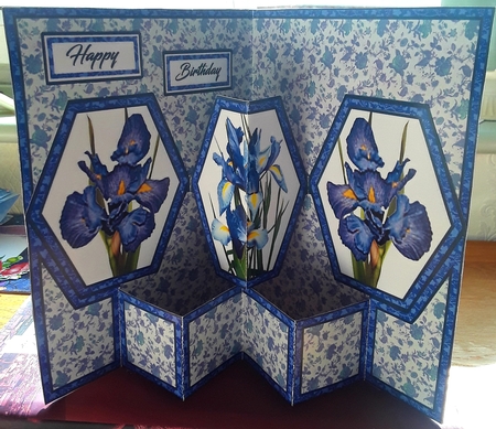 Hex Blue Irises by Shirley Taylor