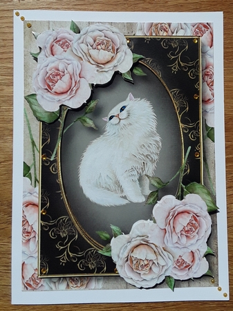 Pretty Persian Kitty by Shirley Taylor