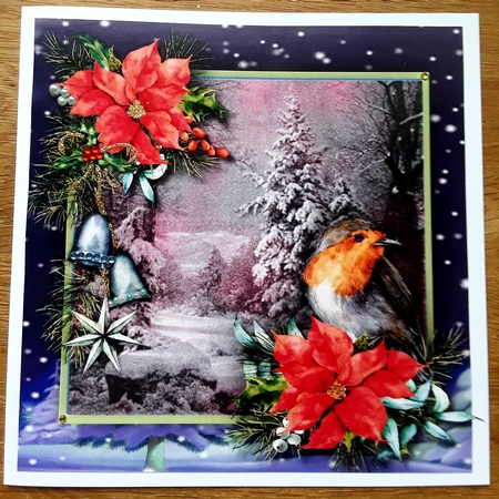 Robin and Poinsettias 3 by Shirley Taylor