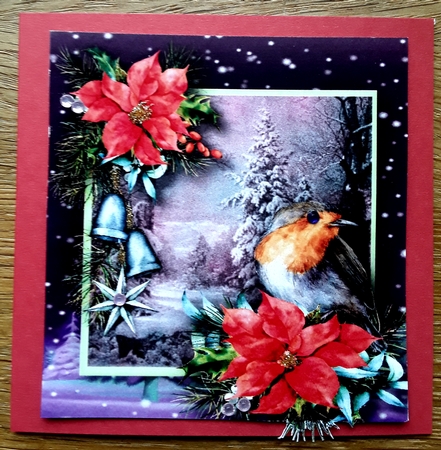 Robin and Poinsettias 3 by Shirley Taylor