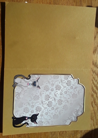 Matching insert for the design sheet Nosy Pussycats. by Shirley Taylor