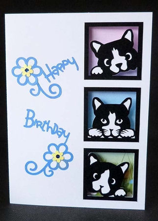 Three Cats Aperture Card by Shirley Young