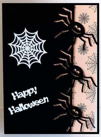 Spider Edge Card and Backing Paper by Shirley Young