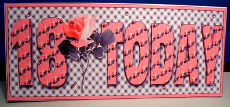 18 Today with Pink Rose Large Dl 2 by Shirli Walker