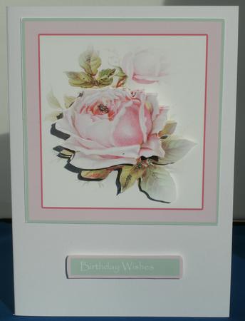 Perfect Pink Roses Step by Step Ladies by Shirli Walker